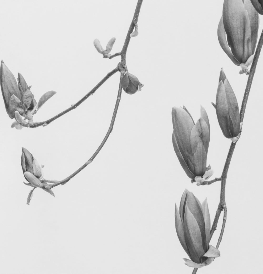 Top Fragrance Note